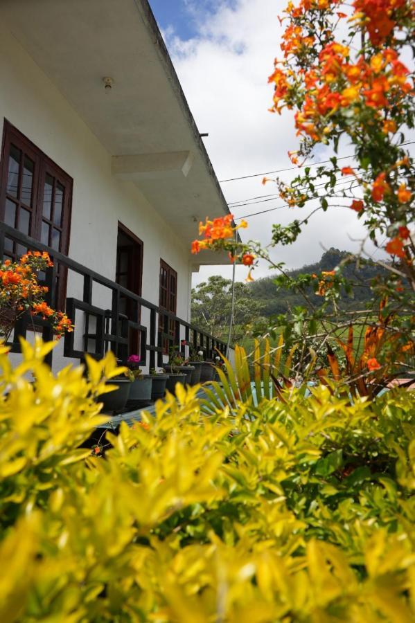 The Train View Acomodação com café da manhã Nuwara Eliya Exterior foto